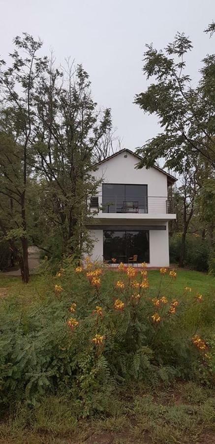 The Willows Guesthouse Bloemfontein Exteriör bild